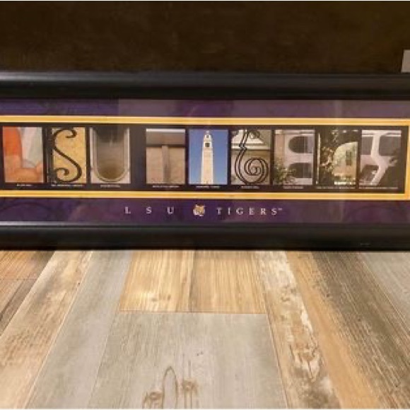 LSU Picture - Picture 3 of 3